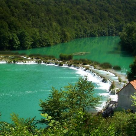 Kuca Za Odmor Miracool Villa Generalski Stol Dış mekan fotoğraf